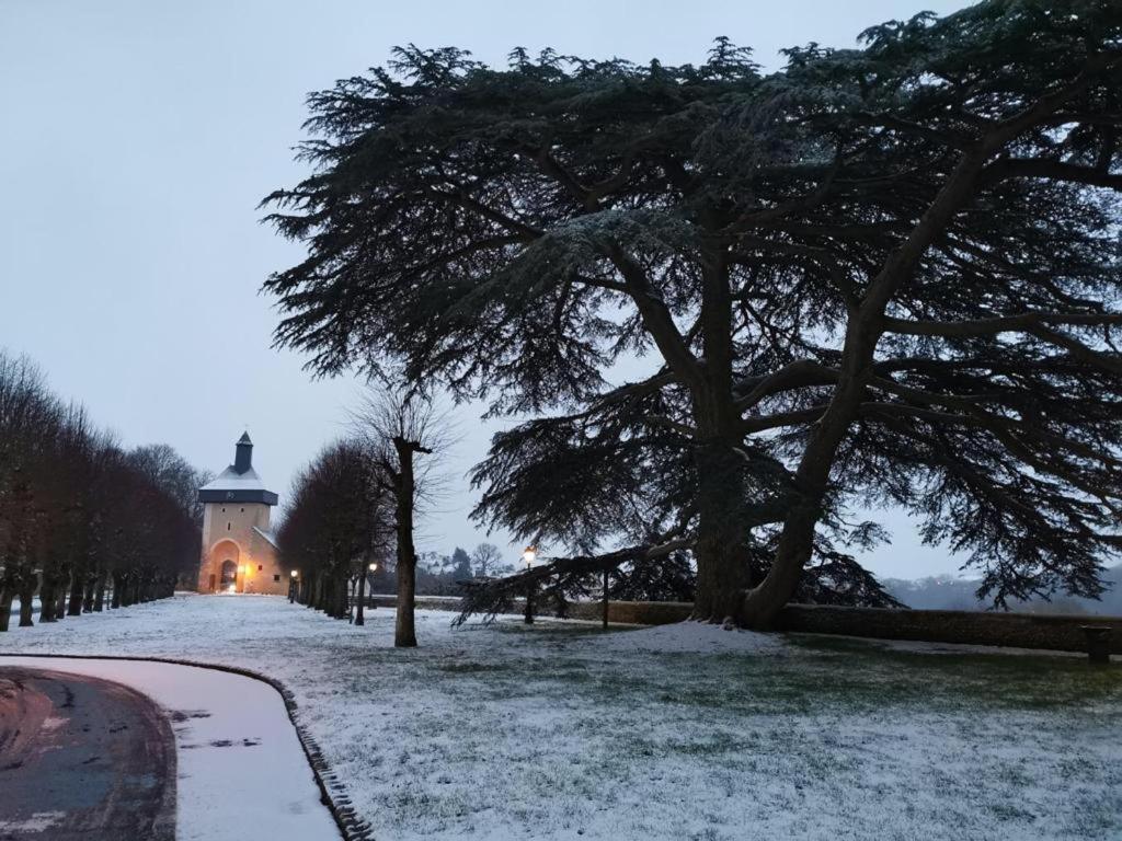 Cosy T1 ! Proche Commerces Et Axes Routiers Château-Renault Esterno foto